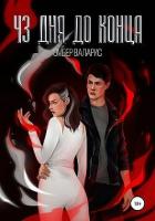 Книга 43 дня до конца (СИ)