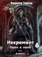 Книга Война (СИ)