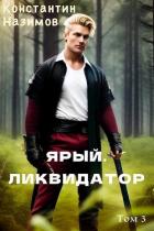 Книга Ярый. Ликвидатор (СИ)
