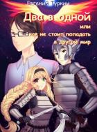 Книга Два в одной или как не стоит попадать в другой мир (СИ)
