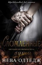 Книга Сломленные души (ЛП)