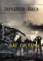 Книга Баг системы (СИ)
