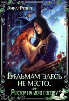 Книга Ведьмам здесь не место, или Ректор на мою голову (СИ)