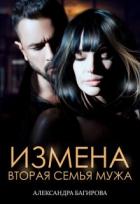 Книга Измена. Вторая семья мужа (СИ)