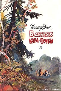 Книга В дебрях Кара-Бумбы