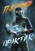 Книга Практик (СИ)