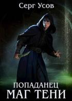 Книга Попаданец. Маг Тени. Книга 8 (СИ)