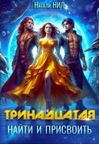 Книга Тринадцатая. Найти и присвоить (СИ)
