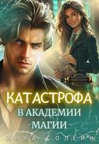 Книга Катастрофа в академии магии (СИ)