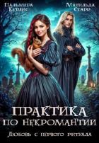 Книга Любовь с первого ритуала (СИ)
