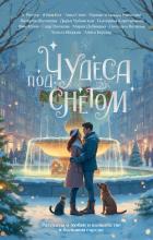 Книга Чудеса под снегом. Рассказы о любви и волшебстве в большом городе