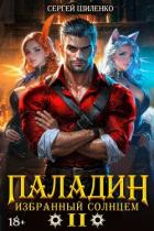 Книга Паладин Том 2 (СИ)