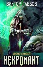 Книга Время камней (СИ)