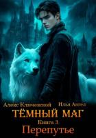 Книга Тёмный маг. Книга 3. Перепутье