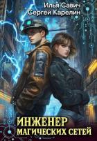Книга Инженер магических сетей (СИ)
