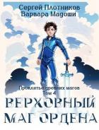 Книга Верховный маг Ордена (СИ)