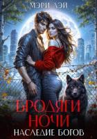 Книга Бродяги ночи. Наследие Богов