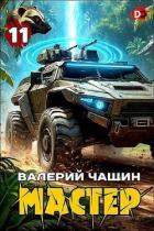 Книга Мастер 11 (СИ)