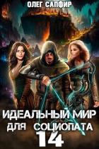 Книга Идеальный мир для Социопата 14 (СИ)
