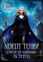Книга Адепт теней. (Не)случайная встреча (СИ)