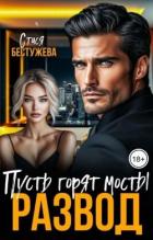 Книга Развод. Пусть горят мосты (СИ)