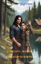 Книга Когда миры соприкасаются (СИ)