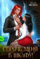 Книга Спрячь меня в шкафу! (СИ)