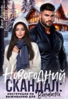 Книга Новогодний скандал: инструкция по выживанию для виноватых (СИ)