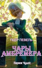Книга Чары Амбремера (ЛП)