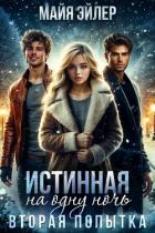 Книга Истинная на одну ночь. Вторая попытка