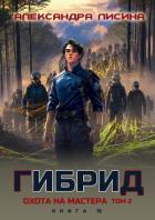 Книга Охота на мастера. Том 2 (СИ)