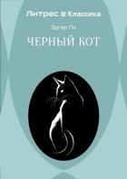 Книга Черный кот