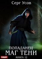 Книга Попаданец. Маг Тени. Книга 12