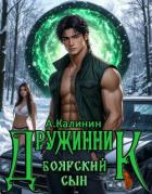Книга Боярский сын. Дружинник Часть первая (СИ)
