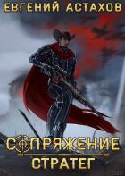 Книга Стратег