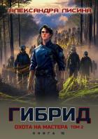 Книга Гибрид. Книга 15. Охота на мастера. Том 2