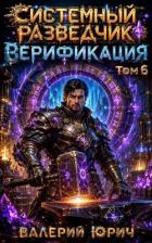 Книга Верификация Том 6 (СИ)