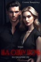 Книга На одну ночь