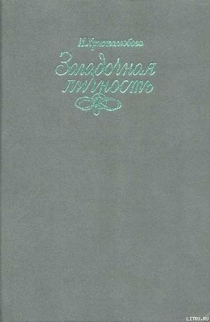 Книга Вася Кочкин, человек лет двенадцати